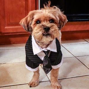 Meet your Posher, Deebo